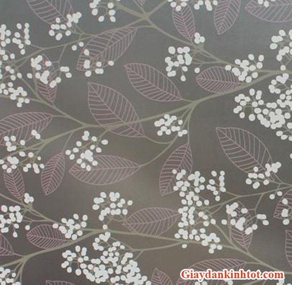 Gợi ý chọn Decal dán kính cho văn phòng